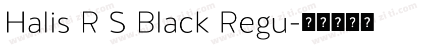 Halis R S Black Regu字体转换